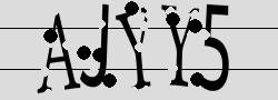 Retype the CAPTCHA code from the image
