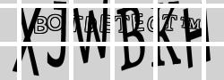 Retype the CAPTCHA code from the image